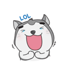 Siberian Husky's Lover（個別スタンプ：22）