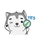 Siberian Husky's Lover（個別スタンプ：23）