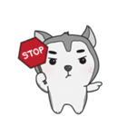 Siberian Husky's Lover（個別スタンプ：24）