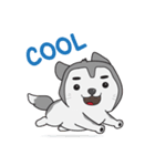 Siberian Husky's Lover（個別スタンプ：25）