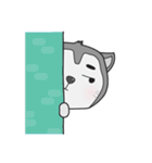 Siberian Husky's Lover（個別スタンプ：31）