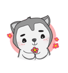 Siberian Husky's Lover（個別スタンプ：32）