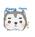 Siberian Husky's Lover（個別スタンプ：38）