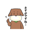 犬まっしぐら（個別スタンプ：14）