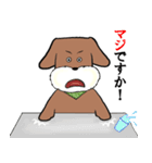 犬まっしぐら（個別スタンプ：25）