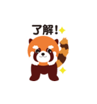 レッサーパンダのあらいさん（個別スタンプ：1）