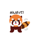 レッサーパンダのあらいさん（個別スタンプ：38）