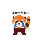 レッサーパンダのあらいさん（個別スタンプ：39）