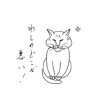 おいら雄猫の独り言（個別スタンプ：2）