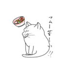 おいら雄猫の独り言（個別スタンプ：3）