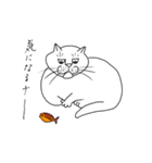 おいら雄猫の独り言（個別スタンプ：12）