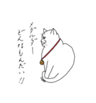 おいら雄猫の独り言（個別スタンプ：15）