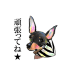 ミニピンライフ★（個別スタンプ：4）