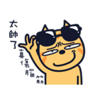 Boring cat-3（個別スタンプ：11）