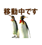 ビジネスペンギンで報・連・相！（個別スタンプ：9）