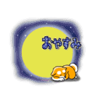まめしば コタローくん 2（個別スタンプ：2）