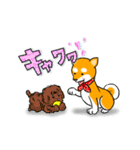 まめしば コタローくん 2（個別スタンプ：3）