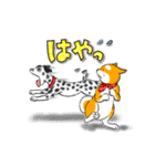 まめしば コタローくん 2（個別スタンプ：9）