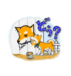 まめしば コタローくん 2（個別スタンプ：11）