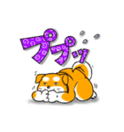 まめしば コタローくん 2（個別スタンプ：13）