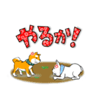 まめしば コタローくん 2（個別スタンプ：17）