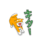 まめしば コタローくん 2（個別スタンプ：20）