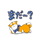 まめしば コタローくん 2（個別スタンプ：30）