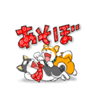 まめしば コタローくん 2（個別スタンプ：31）