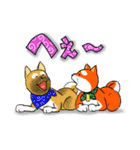 まめしば コタローくん 2（個別スタンプ：34）