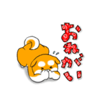 まめしば コタローくん 2（個別スタンプ：37）
