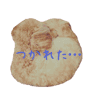 マルプー生活（個別スタンプ：16）