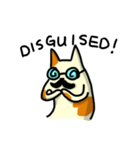 cheeze cat 2（個別スタンプ：12）