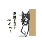 【漢】黒犬の兄貴(アニキ) その壱（個別スタンプ：5）