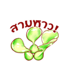 Cute Vegetables Ver.Thai（個別スタンプ：4）