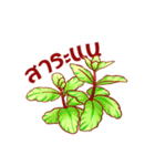 Cute Vegetables Ver.Thai（個別スタンプ：11）