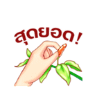 Cute Vegetables Ver.Thai（個別スタンプ：20）