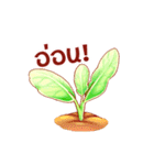 Cute Vegetables Ver.Thai（個別スタンプ：21）
