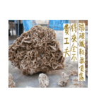 beautiful pictures:Chinese poems（個別スタンプ：1）