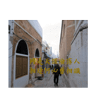 beautiful pictures:Chinese poems（個別スタンプ：8）