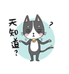 happycall family（個別スタンプ：22）