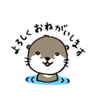 コツメカワウソの竹千代 1（個別スタンプ：8）