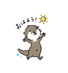 コツメカワウソの竹千代 1（個別スタンプ：11）