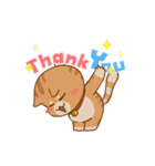 Sumo Cat Animation 2（個別スタンプ：5）