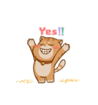 Sumo Cat Animation 2（個別スタンプ：6）