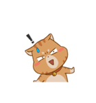 Sumo Cat Animation 2（個別スタンプ：15）