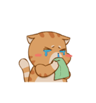 Sumo Cat Animation 2（個別スタンプ：17）