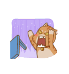 Sumo Cat Animation 2（個別スタンプ：20）