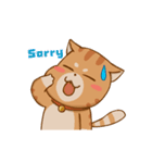 Sumo Cat Animation 2（個別スタンプ：21）