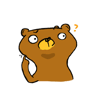 A normal bear（個別スタンプ：35）