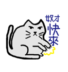Lulu wandering mind-Support TNR（個別スタンプ：1）